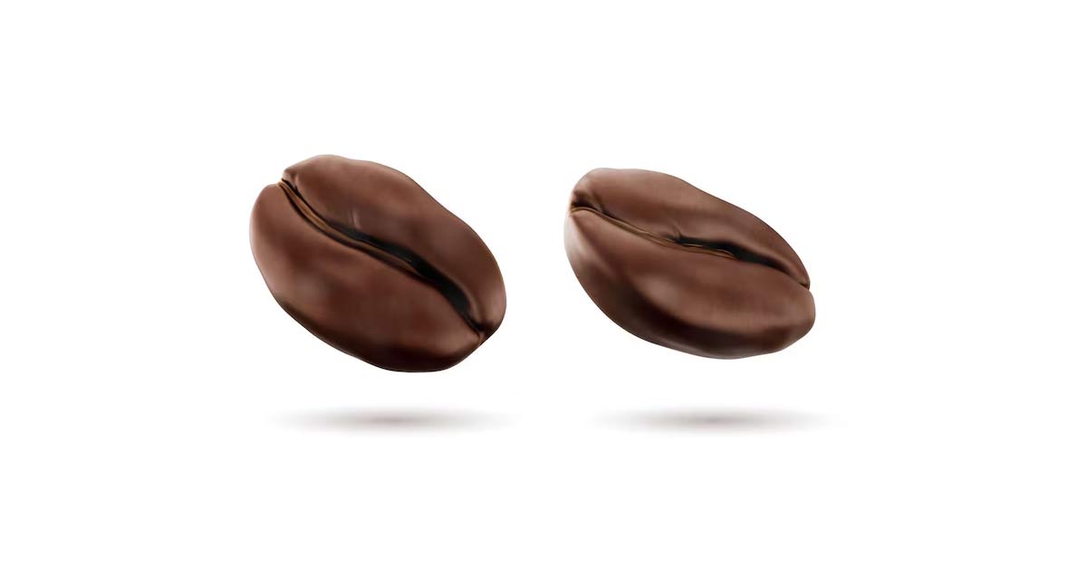 بهترین عمده فروشی قهوه در شیراز
