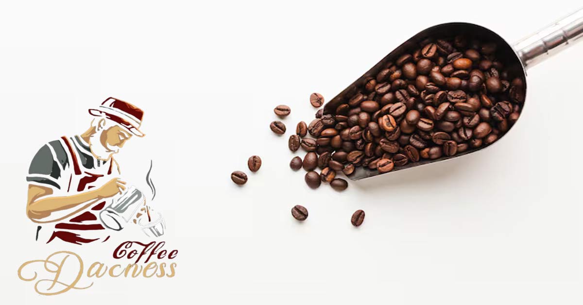 بهترین عمده فروشی قهوه در شیراز